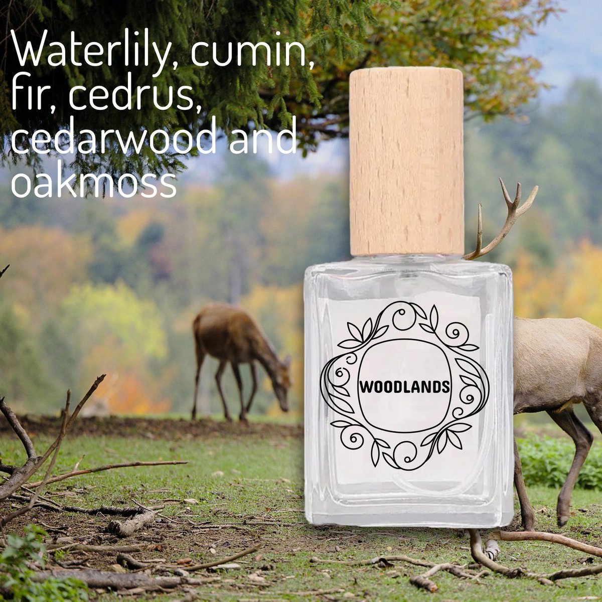 Woodlands Wandeling in het bos parfum, Cedarwood, Dennegroen en mos, Natuur geinspireerd eau de parfum