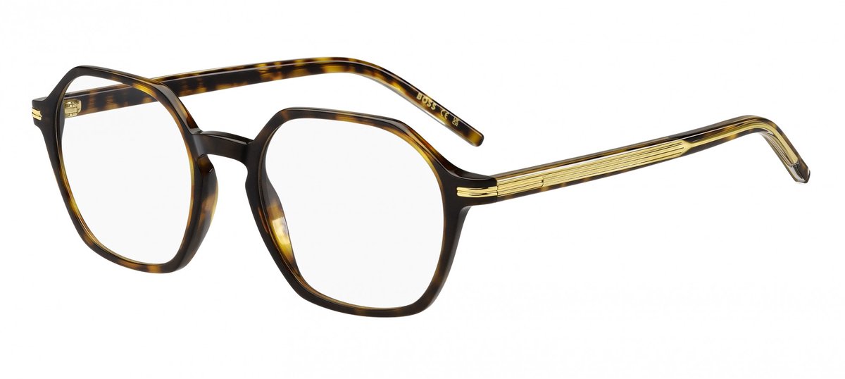 Brillen met correctie Hugo Boss Boss 1737 086