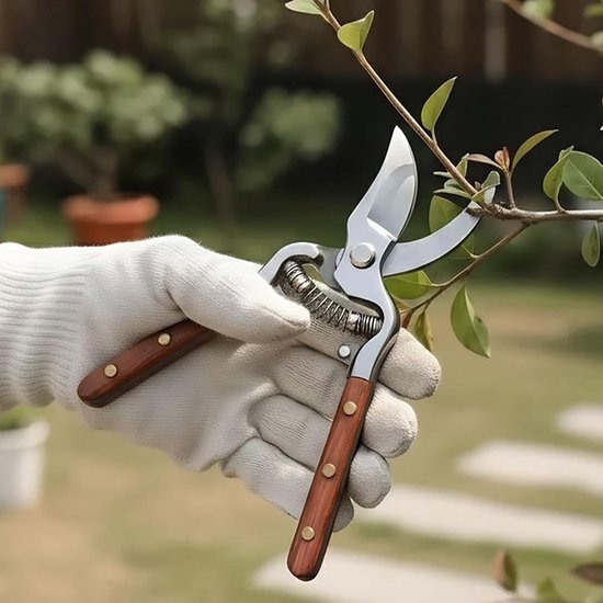 Tuinsnoeischaren - Handgereedschap - Takken Snoeien - Robuust Roestvrij Staal - 22 x 6 x 3 cm — afbeelding 2