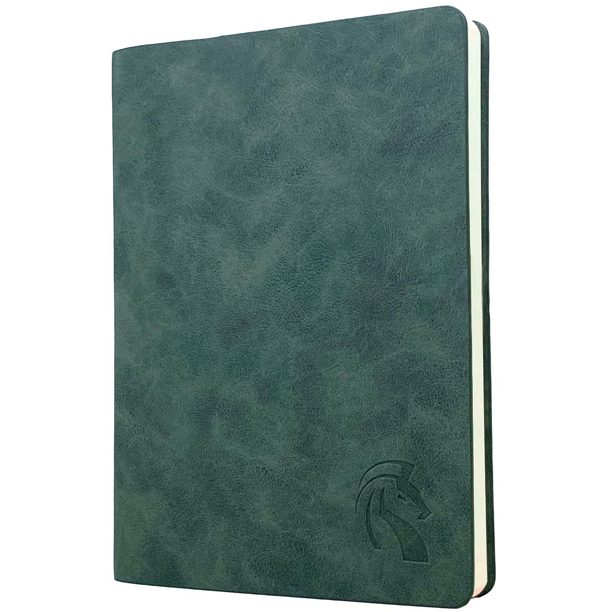 Groen Notitieboek - Fantasie Leer Dagboek - Schrijven Plannen Ideeën - 210 Genummerde Pagina's - A5 Formaat - Donkergroen