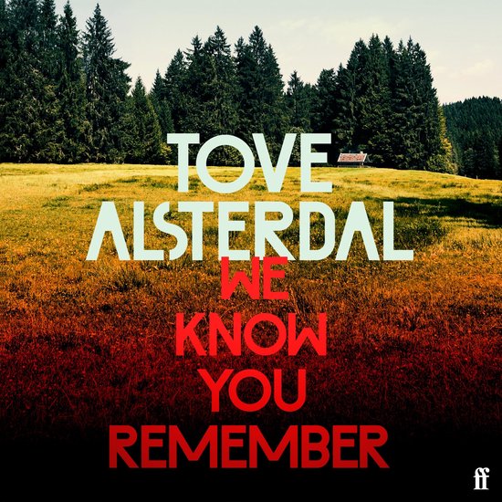 We Know You Remember - cover