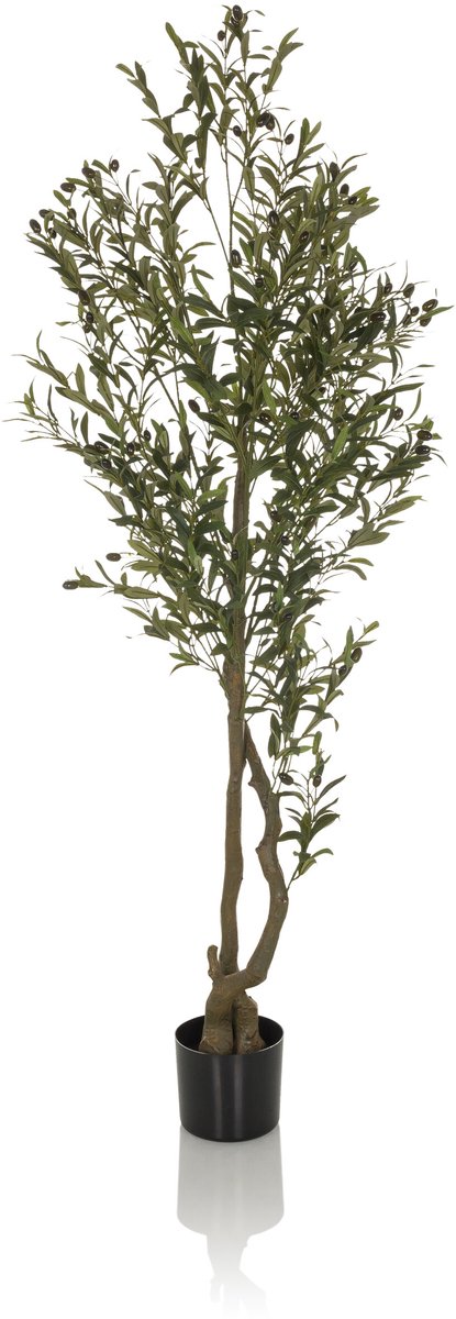 hjh office Kunstplant/kunstboom OLIVE I 172 cm groen hjh OFFICE