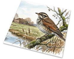 Bruine Lijster in Hollands Polderlandschap met Boerderij - Aquarel Series - Wandtegel Dieren - Glanzende tegel - Cadeau voor hem & haar: Vrouw, Vriend(in) & Collega - Landelijk Interieur Vogels Kijken Boerderijdieren Natuurprint