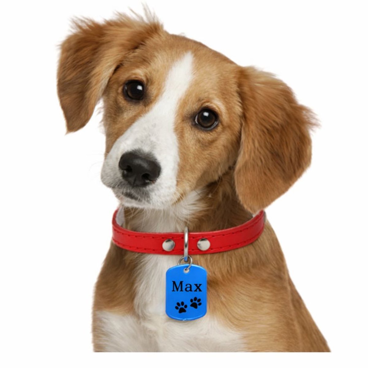 Gekleurde dogtag - Hondenpenning rechthoek - Huisdierpenning inclusief graveren - Petshop Seven