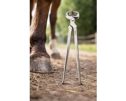 Belux Surgical Instruments / Hoeftang paard 38cm rvs