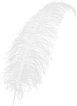 Plume - Blanc - Spadonis - Piet - 50cm