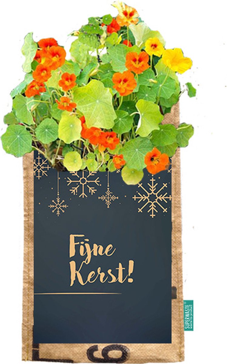 Eetbare bloemen-Kerst-Fijne Kerstdagen-Cadeauverpakking-Hangtuintje-Verse-Bloemen-stadstuintje-groeicadeau-bloei-cadeau-origineel-relatiegeschenk-werknermers-collega's-medewerkers-kerstpakket
