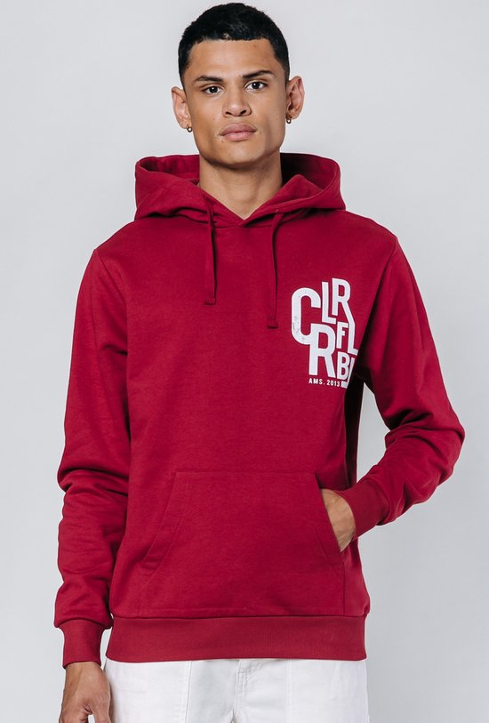 Colourful Rebel CLRFL RBL ams. 2013 Hoodie Hommes Pull - Taille S