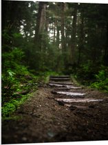 WallClassics - Plaque de Mousse PVC - Chemin de Carrelage en Pierre à Travers la Forêt - 75x100 cm Photo sur Plaque de Mousse PVC (Avec Système d'accrochage)