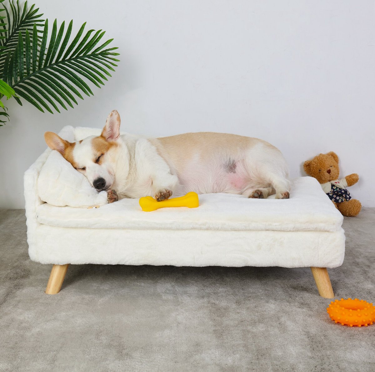 Verhoogde Huisdier Bed - Wit S - Huisdier Kruk Bed Met Cozy Pad Waterdicht - huisdier Slaapbank Met Stevige Hout Benen - Voor Kleine Hond Kitten