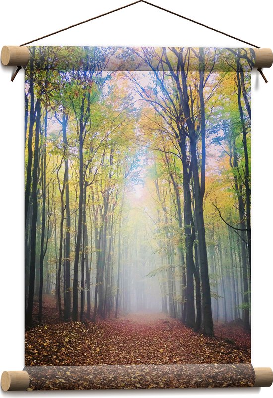 WallClassics - Textielposter - Mist aan het Einde van het Bos - 30x40 cm Foto op Textiel