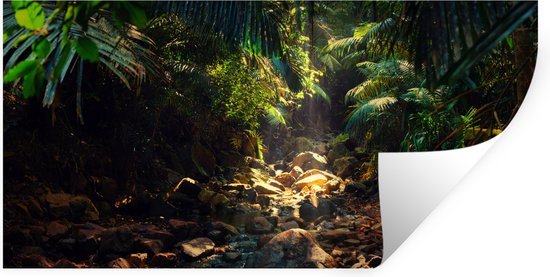 Stickers Stickers muraux - Jungle - Soleil - Inde - 120x60 cm - Feuille adhésive