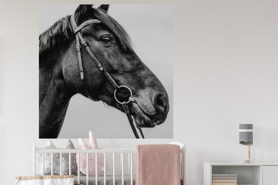 Stickers Stickers muraux - Cheval - Licol - Portrait - 120x120 cm - Film adhésif XXL