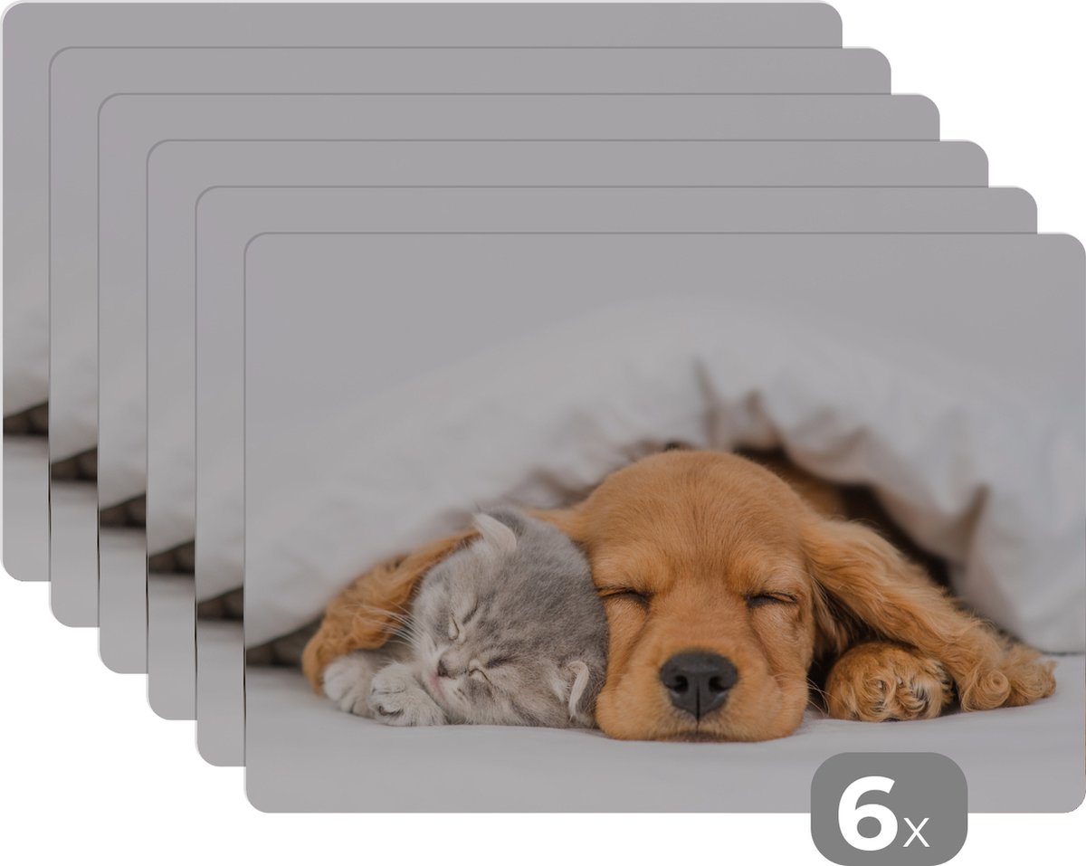 Placemat - Placemats kunststof - huisdieren - hond - Kat - Deken - 45x30 cm - 6 stuks - Hittebestendig - Anti-Slip - Onderlegger - Afneembaar