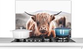 Spatscherm - Schotse Hooglander - Dieren - Koe - Natuur - Spatwand - Muurbeschermer - Achterwand keuken - Keuken - 90x60 cm - Spatscherm keuken