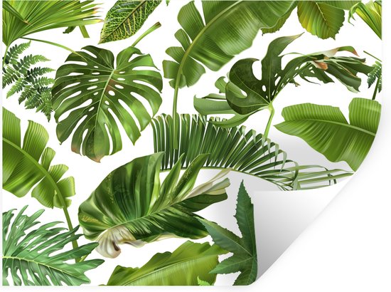 Stickers muraux - Film autocollant - Feuilles - Wit - Motif - Enfants - Garçons - Kids - 80x60 cm - Film adhésif - Stickers muraux Chambre d'enfants - Papier peint autocollant