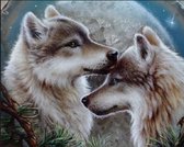Diamond painting 40x50cm - wolven - ronde steentjes