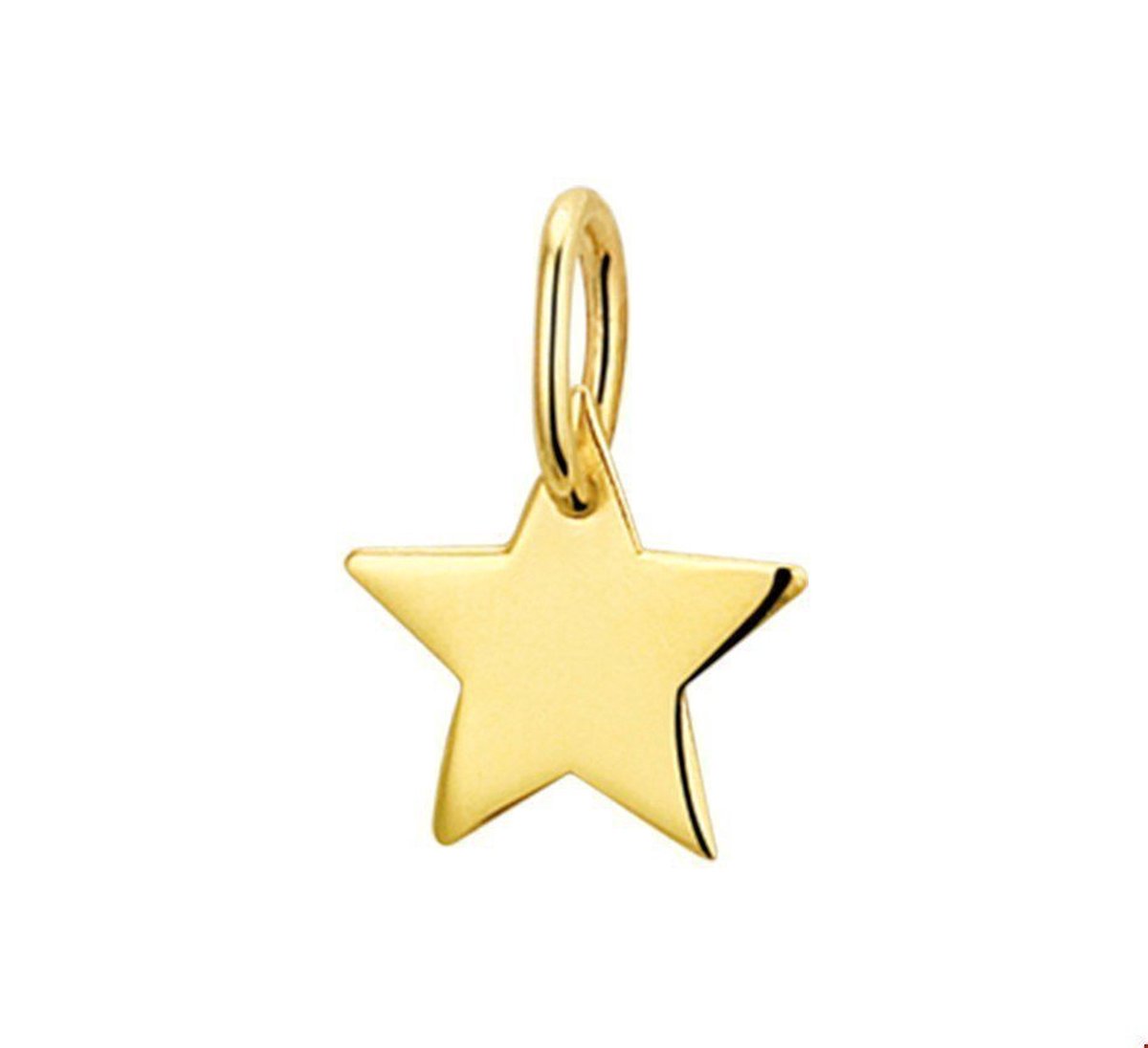 Geelgouden Hanger ster 4019321