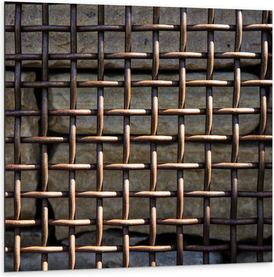 WallClassics - Dibond - Verroest Hek tegen Stenen - 100x100 cm Foto op Aluminium (Wanddecoratie van metaal)