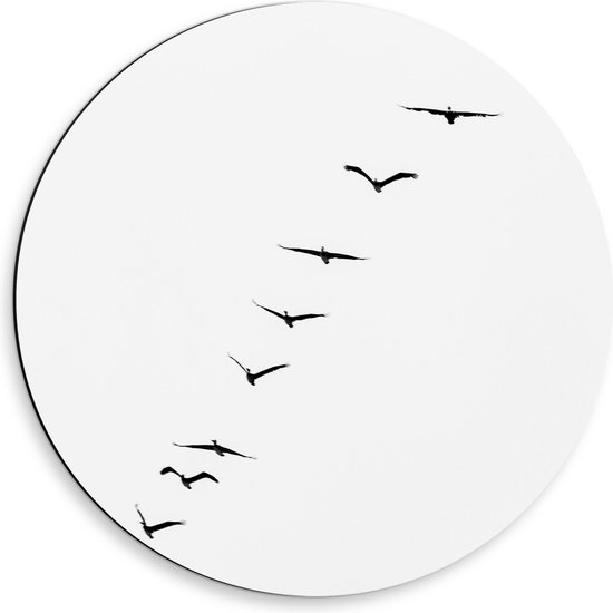 WallClassics - Dibond Muurcirkel - Schuine Lijn van Zwarrte Vogels op Witte Achtergrond - 50x50 cm Foto op Aluminium Muurcirkel (met ophangsysteem)