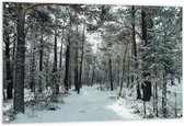 WallClassics - Tuinposter – Winter Bos - 120x80 cm Foto op Tuinposter  (wanddecoratie voor buiten en binnen)