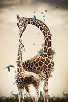 Lienz® Peinture de diamants adultes 40x50cm – Rond – Girafes – Nature – Complet – Forfait Adultes