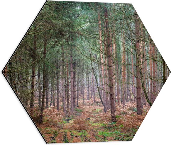 WallClassics - Dibond Hexagon - Fel Groene Takken aan Bomen - 50x43.5 cm Foto op Hexagon (Met Ophangsysteem)