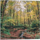 WallClassics - Drapeau - Arbres tombés au-dessus de la rivière - Photo 50x50 cm sur drapeau en polyester