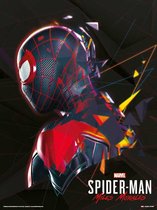 Spider-Man Miles Morales System Shock Art Print 30x40cm | Poster