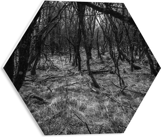WallClassics - PVC Schuimplaat Hexagon  - Takken in het Bos Zwart / Wit - 40x34.8 cm Foto op Hexagon (Met Ophangsysteem)