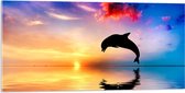 WallClassics - Acrylglas - Silhouet van Dolfijn bij Ondergaande Zon in het Water - 100x50 cm Foto op Acrylglas (Met Ophangsysteem)