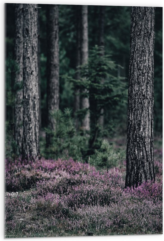 WallClassics - Verre Acrylique - Fleurs violettes près des Arbres - 50x75 cm Photo sur verre acrylique (Décoration murale sur acrylique)