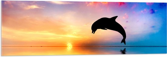WallClassics - Acrylglas - Silhouet van Dolfijn bij Ondergaande Zon in het Water - 120x40 cm Foto op Acrylglas (Met Ophangsysteem)