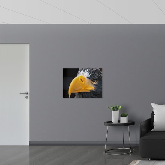 WallClassics - Verre Acrylique - Bec Gros Plan - 80x60 cm Photo sur Verre Acrylique (Avec Système d'accrochage)