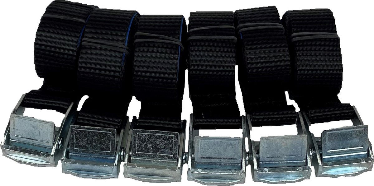 Set van 6 sjorbanden 20 mm, 1 meter, zwart band met klemgesp
