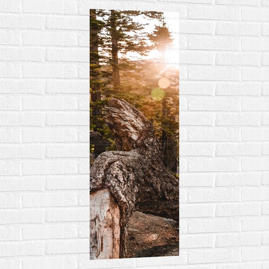 WallClassics - Muursticker - Grote Gevallen Stronk - 40x120 cm Foto op Muursticker