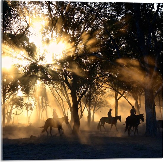 WallClassics - Acrylglas - Groepje Paarden in Bos verlicht door Zon - 50x50 cm Foto op Acrylglas (Wanddecoratie op Acrylaat)