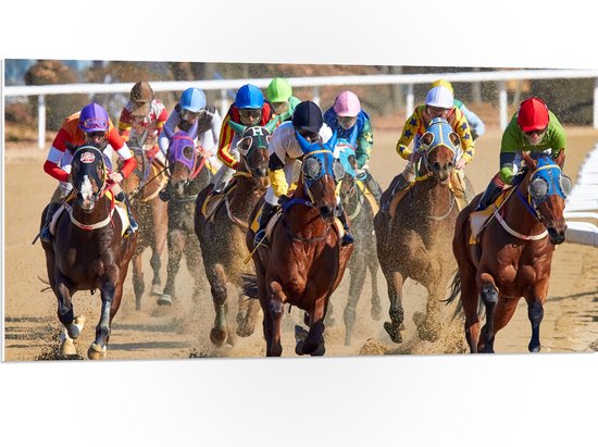 WallClassics - PVC Schuimplaat- Paarden Race - 100x50 cm Foto op PVC Schuimplaat