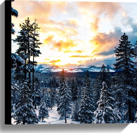 WallClassics - Canvas  - Hoge Bomen in Sneeuwveld - 40x40 cm Foto op Canvas Schilderij (Wanddecoratie op Canvas)