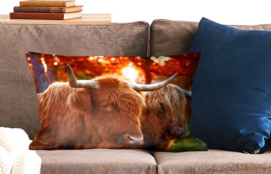 Coussins Coussins décoratifs - Coussin - Highlanders gros plan en automne - 60x40 cm - Coussin en coton