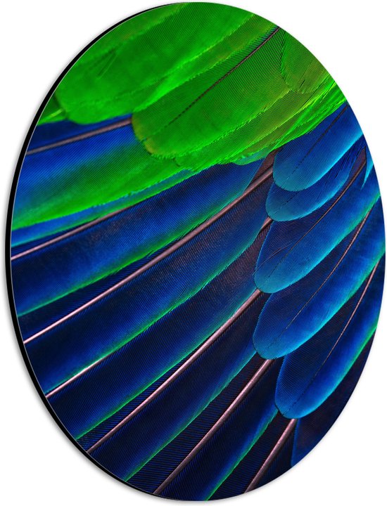 WallClassics - Dibond Ovaal - Prachtige Blauwe en Groene Veren - 21x28 cm Foto op Ovaal (Met Ophangsysteem)