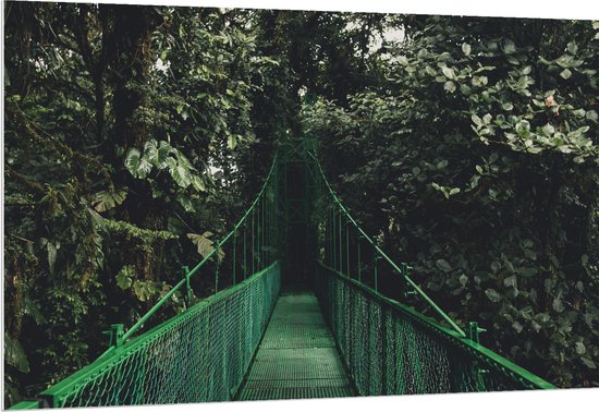 WallClassics - Panneau en mousse PVC – Pont vert dans une zone forestière – Photo 150 x 100 cm sur panneau en mousse PVC