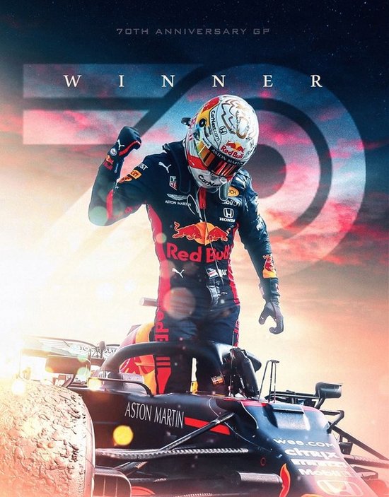 Targa In Metallo Vintage Max Verstappen - Poster 20x30 Cm Per Decorazione Da Parete - Interni Ed Esterni - 5