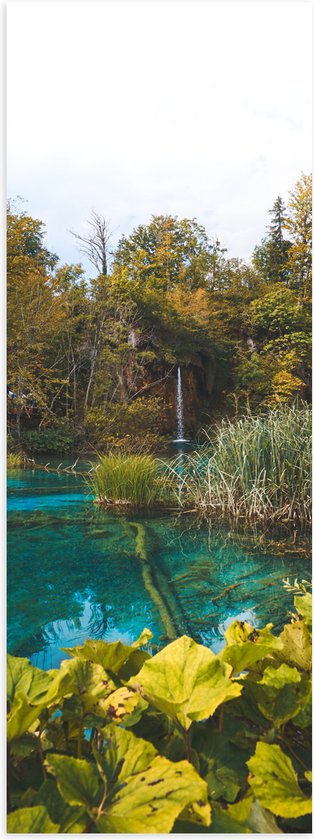 WallClassics - Poster (Mat) - Helder Blauw Water tussen Groene Planten - 40x120 cm Foto op Posterpapier met een Matte look