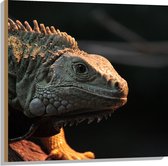 WallClassics - Hout - Leguaan Reptiel - 80x80 cm - 12 mm dik - Foto op Hout (Met Ophangsysteem)