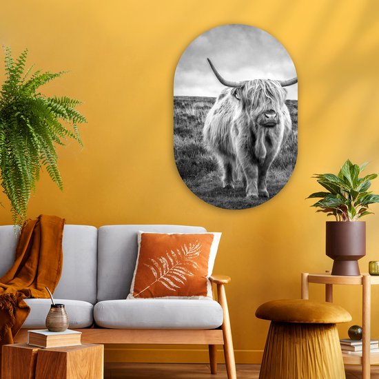 Miroir ovale mural - Décoration murale en plastique - Tableau ovale - Highlander écossais - Animaux - Nuages ​​- Vache - Nature - 60x90 cm - Miroir ovale sur plastique