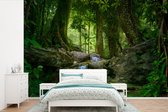 Behang - Fotobehang Jungle - Stenen - Water - Natuur - Planten - Breedte 420 cm x hoogte 280 cm