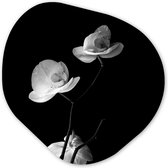 Organische Wanddecoratie - Kunststof Muurdecoratie- Organisch Schilderij - Orchidee - Bloemen - Zwart - Wit- 40x40 cm - Asymmetrische spiegel vorm op kunststof
