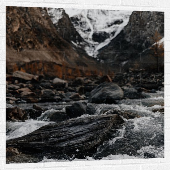 WallClassics - Muursticker - Water Stromend Langs Stenen - 100x100 cm Foto op Muursticker