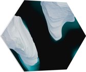 WallClassics - PVC Schuimplaat Hexagon  - Witte IJsbergen - 80x69.6 cm Foto op Hexagon (Met Ophangsysteem)